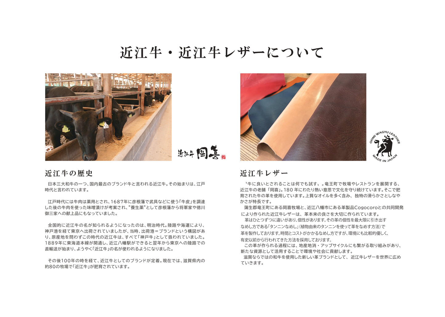 岡喜近江牛レザーと高島帆布で作った　フラップ付きリュック(2バックル)  【びわ湖ブルー・ブライトキャメル】