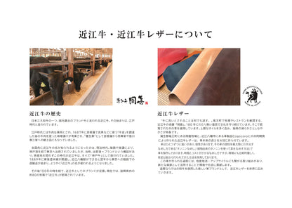 岡喜近江牛レザーと高島帆布で作った　よこショルダーバッグ Lサイズ 【びわ湖ブルー・ブライトキャメル】